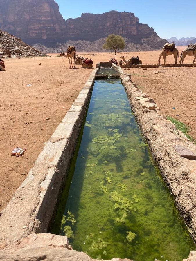 Moon City With Sunset Tour Wadi Rum Exterior foto